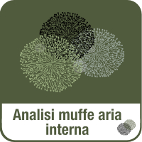 Raumluft_Schimmel_IT