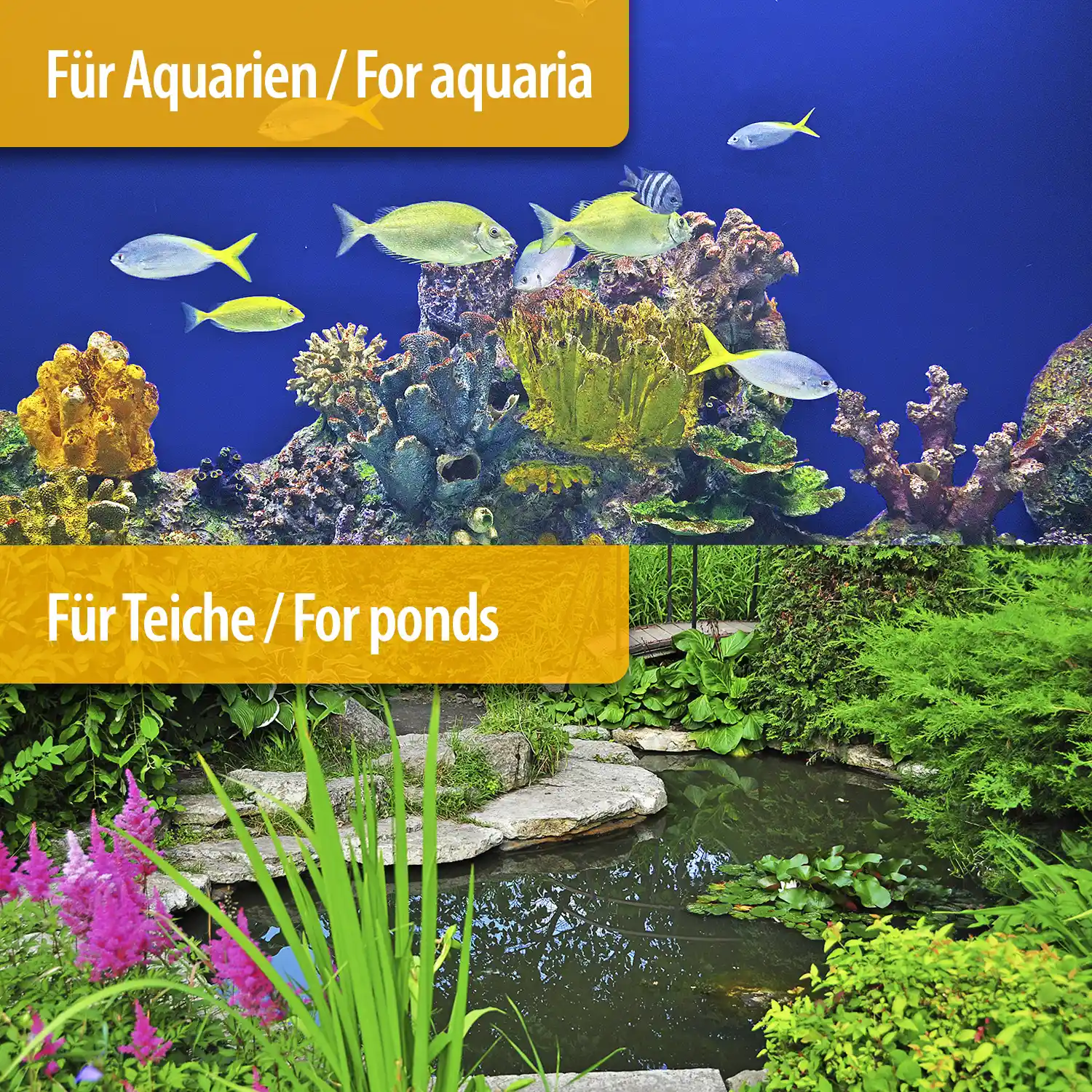 aquarium water test pond