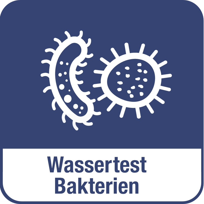 Wassertest Bakterien