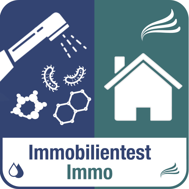 Immobilienanalyse
