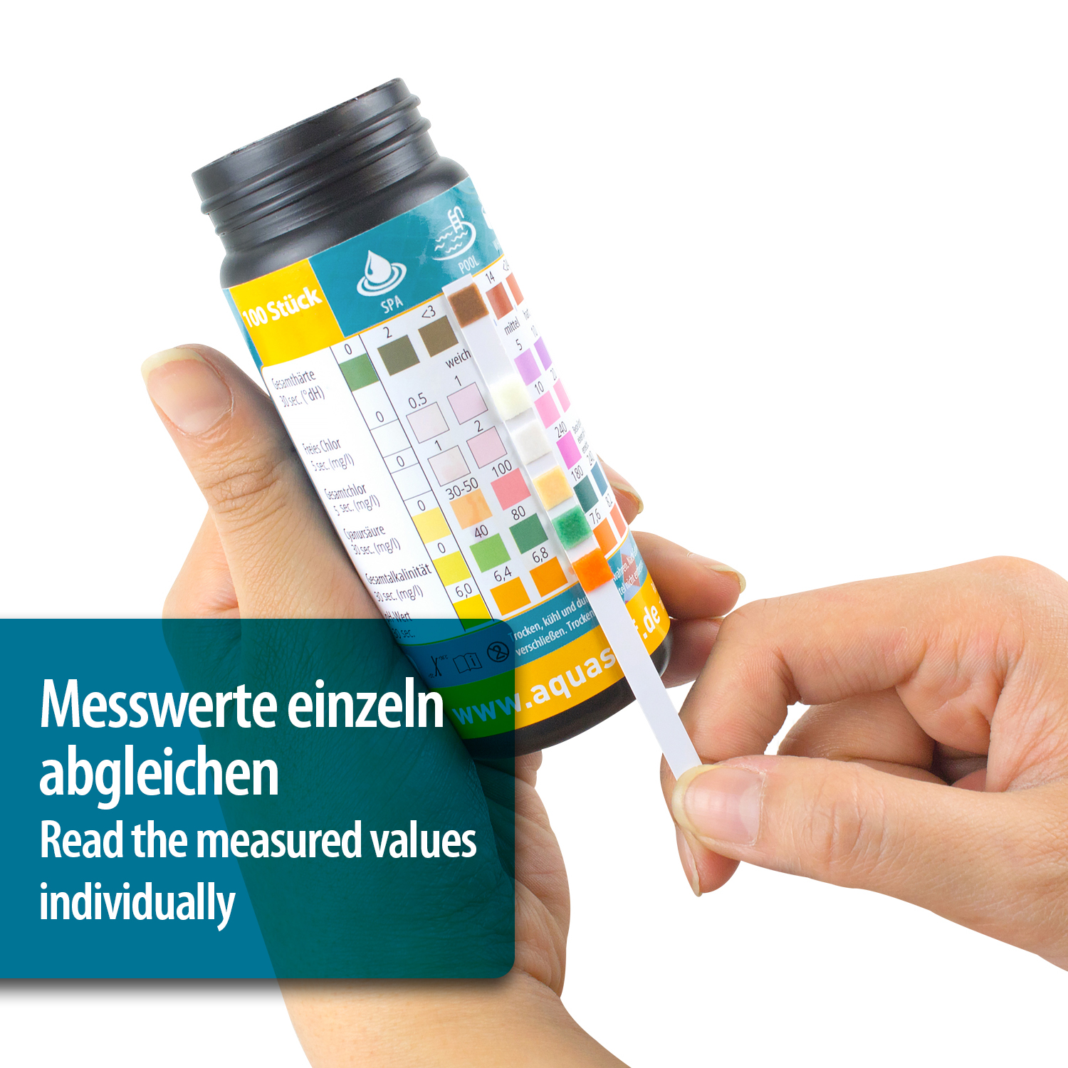 pool-wassertester-streifen test dell’acqua della piscina