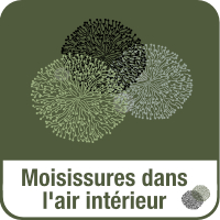 Raumluft_Schimmel_FR