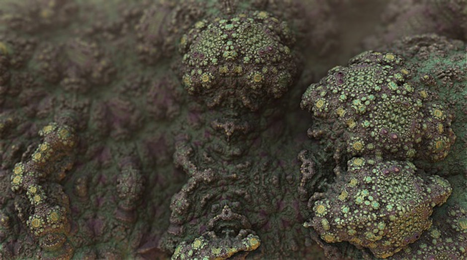 Schimmelpilz unter dem Mikroskop